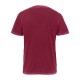 3600SW Next Level Washed Cardinal