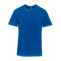 3600SW Next Level Washed Royal