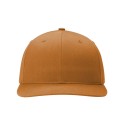 312 Richardson Caramel