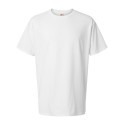5280T Hanes WHITE