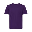48000Y AllPro PURPLE