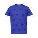 3029 Code Five Royal Star