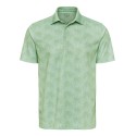 154 Paragon PALM GREEN
