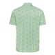 154 Paragon PALM GREEN