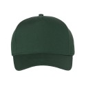 8869 Valucap FOREST