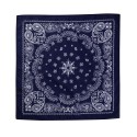 VC21 Valucap NAVY PAISLEY