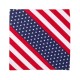 VC21 Valucap USA Flag