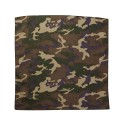 VC21 Valucap GREEN CAMO