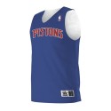 A115LA Alleson Athletic Detroit Pistons