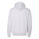 S171 Champion SILVER GREY