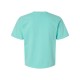3023CL Comfort Colors CHALKY MINT